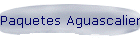 Paquetes Aguascalientes