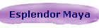 Esplendor Maya