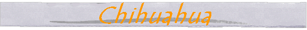 Chihuahua