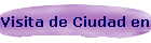 Visita de Ciudad en Acapulco