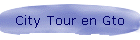 City Tour en Gto
