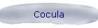 Cocula