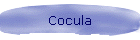 Cocula